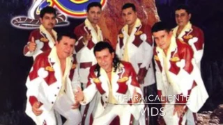 LOS REMIS MINI MIX PARA ADOLORIDOS 