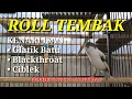 Lagu KENARI ISIAN | GLATIK BATU | BLACKTHROAT | CIBLEK | @KENARIISIANREPUBLIKINDONESIA