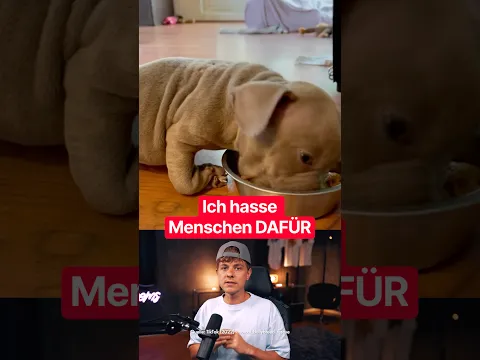 Diese Qualzuchten gehen endgültig zu weit!!