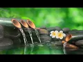 Download Lagu Nhạc Piano Thư Giãn • Nhạc Để Ngủ, Âm Thanh Nước Chảy, Nhạc Thư Giãn, Nhạc Thiền