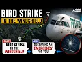 WINDSHIELD CRACKS Frontier A320 Suffers Bird Strike Near Dulles