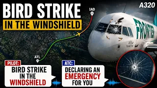 WINDSHIELD CRACKS Frontier A320 Suffers Bird Strike Near Dulles