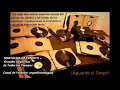 TANGOS INOLVIDABLES - GRANDES ORQUESTAS II