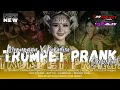Download Lagu DJ TROMPET PRANK DROPSHOOT X MENUNGGU X PARADISE || VIRAL TIKTOK || R29 PROJECT