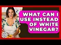 What Can I Use Instead Of White Vinegar - The Skillful Chef