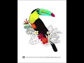 Free Ocean Co Coloring Book Pages