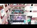 Mahmoud el esseilly concert _ حفلة محمود العسيلي