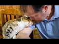 Download Lagu Dad Never Wanted a Cat But, Now They Do Everything Together 😹