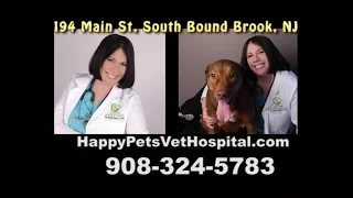 Happy Pets Vet Hospital - South Bound Brook NJ 908-324-5783