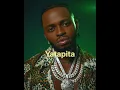 Diamond platnumz_ Yatapita (tradução)