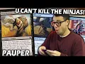 MonoBlack is a POWERFUL deck Faeries vs Black Devotion Pauper Magic the Gathering Gameplay