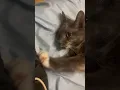 Ruby kneading on mom