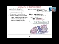 The Structure and Functionality of Java ReentrantLock