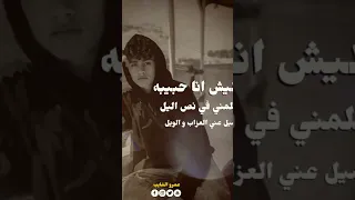 مليش انا حبيبه تكلمني في نص اليل عمرو الشايب حالات واتس المشير الشايب اكسبلور تصميمي 