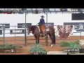 2025 Amateur Ranch Trail World Champion