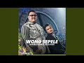 Lagu Wong Sepele (feat. Fauzi Haidi)