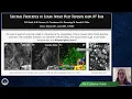 Catherine Neish - Spectral Properties of Lunar Impact Melt Deposits from M3 Data.