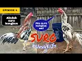 Download Lagu Ayam Bangkok Suro Bungkus || Sekali Pukul Mati Mendadak || episode 4