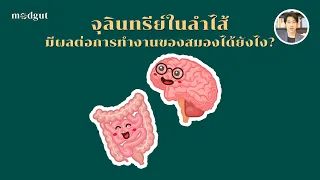ลำไส้กับสมองสื่อสารกันได้อย่างไรบ้าง