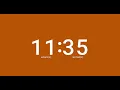 Burnt Orange 19 Minute Countdown Timer - Silent
