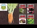 Download Lagu THE BEST NEW SEED VARIETIES FOR FALL GARDENING!