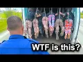 Download Lagu Jaw Dropping Police Dashcam Moments That Broke the Internet