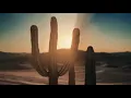 Element Eleéeh - MAASO