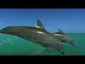 I fixed the Dolphin Scene from Finding Nemo the Live Action Remake for kingofthejungle2003