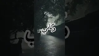 لا بقيت تسمعني وتفهمني ولا حاسس بيا عمرو دياب 