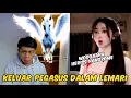 Download Lagu Bikin An miu kaget, Heriss tiba - tiba naik pegasus ke dalam lemari