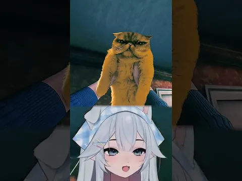 when there is a pet in a video game