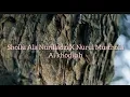 Download Lagu Lirik sholawat shollu ala nurilladzi x nurul musthofa cover by Ai Khodijah#aikhodijahterbaru