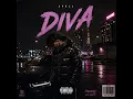 DIVA - APG22