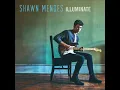 There's Nothing Holdin' Me Back (Instrumental) - Shawn Mendes