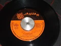 toots and the maytal's in the dark