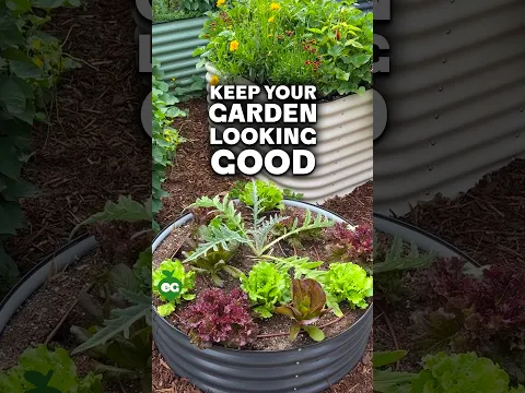 This is how I keep my garden fresh in late summer...