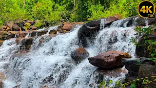 Real Video 4K - Relaxing violin music and walk in the most beautiful waterfall koh kong place
