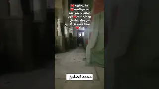 الحجرة النبوية من الداخل المدينة المنورة المسجد النبوي الشريف روضة رسول الله عليه السلام 