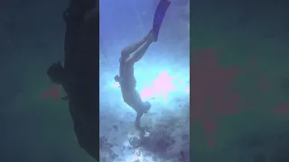 Thunderball Grotto snorkeling with Sharks!