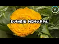 Download Lagu Lagu Rohani Berharga Di Hadapanmu