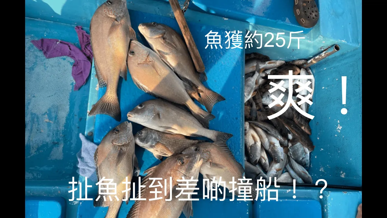 香港釣魚【漁童日記】第16集~ 原來香港仲有咁多魚釣架,仲要扯魚扯到差啲撞船?!#hkfishing #香港釣魚 #細鱗 #黃腳