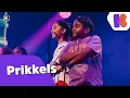 Download Lagu Prikkels LIVE bij De Grote Show - Kinderen voor Kinderen