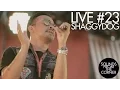 Download Lagu Sounds From The Corner : Live #23 Shaggydog