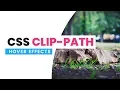 CSS Clip Path Hover Circle Hover Effects Html CSS