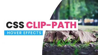 CSS Clip Path Hover Circle Hover Effects Html CSS