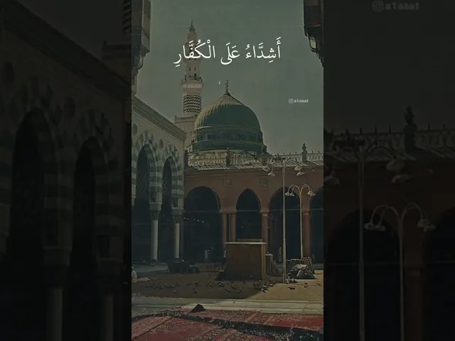 ⁣وَالَّذِينَ مَعَهُ أَشِدَّاءُ عَلَى الْكُفَّارِ رُحَمَاءُ بَيْنَهُمْ ۖ.. الشيخ محمد صديق المنشاوي