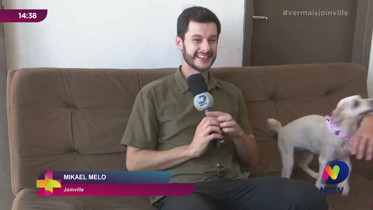 Cachorra abandonada dentro de sofá: veja como está a Mel após a adoção