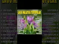 Download Lagu Lagu Malaysia Menyentuh Terbaik | Lagu Slow Rock Terbaik 90an | Koleksi Lagu Kenangan Terpopular