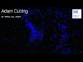 Adam Cutting - We Dance All Night (Visualiser)