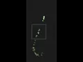 How to beat challenge 4 - Pixel Speedrun